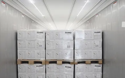 Lights – Container Accessories