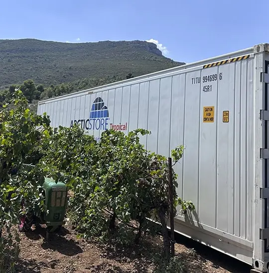 ArcticStore Cold Storage Greece Wineries – Refrigerated Containers